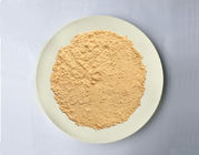 Melamine khuôn mẫu bột cho Tableware A5 khuôn nhựa Hợp chất
